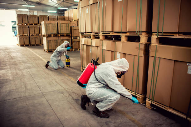 Best Emergency Pest Control  in Meridian Village, CO