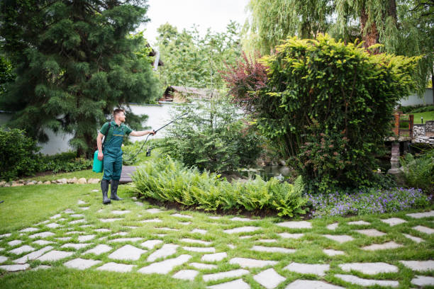 Best Exterminator Services  in Meridian Village, CO