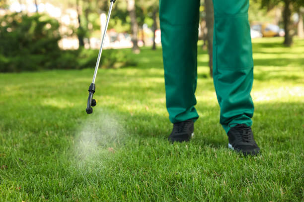 Best Pest Inspection Near Me  in Meridian Village, CO