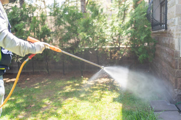 Best Wasp Removal Services  in Meridian Village, CO
