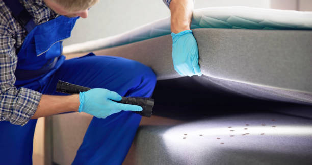 Best Pest Control Near Me  in Meridian Village, CO