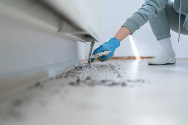 Best Residential Pest Control  in Meridian Village, CO